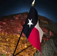 Texas Real Estate